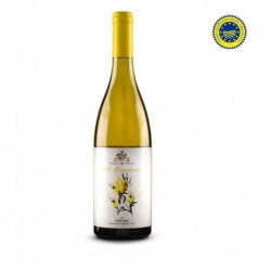 Weißwein „Ginestraio“ IGT, Toskana von USIGLIAN DEL VESCOVO