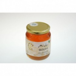 Cantini Honey jar of 500 g VAR MILLEFIORI